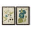 Eloquent Botanical III - Ensemble de 2 peintures encadrées-1783754807-1783843484-1783754801
