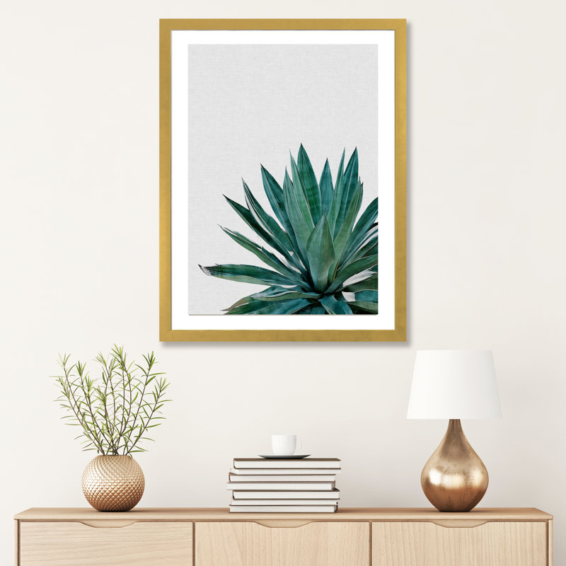 « agave cactus »-impression photographie, H 24 po x l 16 po x P 1 po, Papier encadré doré