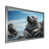 Silver Single Picture Framed