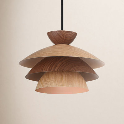 Whitaker 1-Light Pendant in Matte Black