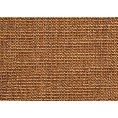 Areesha Jute / Sisal Area Rug