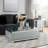 Hymir Glass Top Single Coffee Table