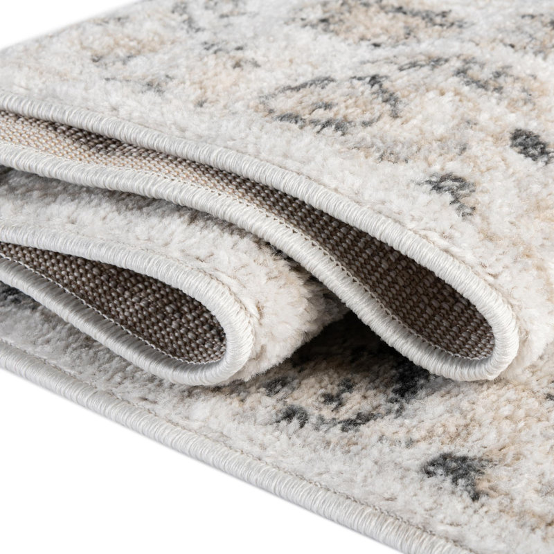 Hilley Oriental Indoor Rug, Rectangle 4' x 6'