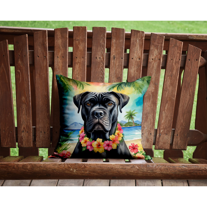 Coussin décoratif intérieur / extérieur Autre / Sans motif, H 14 po x l 14 po