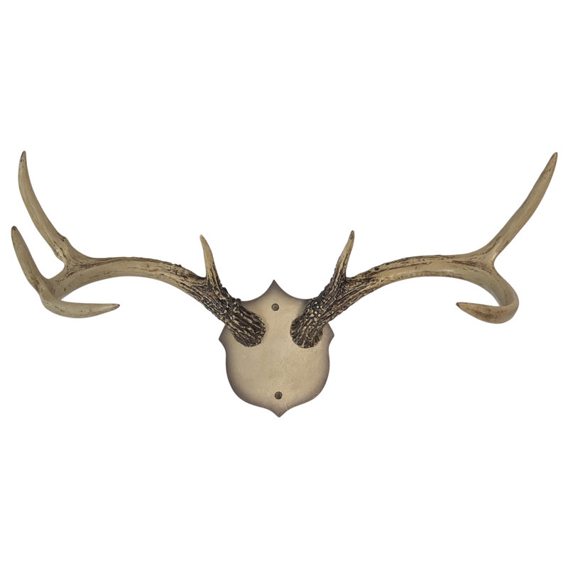 Antler Wall Racks