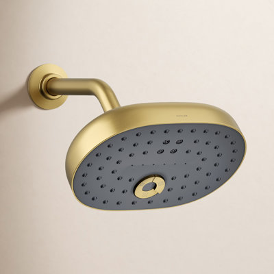 Statement Oval Multifunction Showerhead