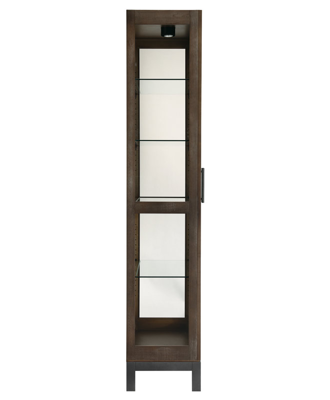 Quinn 78.75'' H x 35.75'' W Solid Wood Display Case