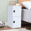 2 -Door Storage Cabinet