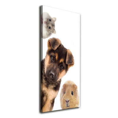 Pets - Wrapped Canvas Print