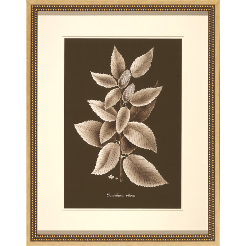 Sepia Leaves On Chocolate II Painting