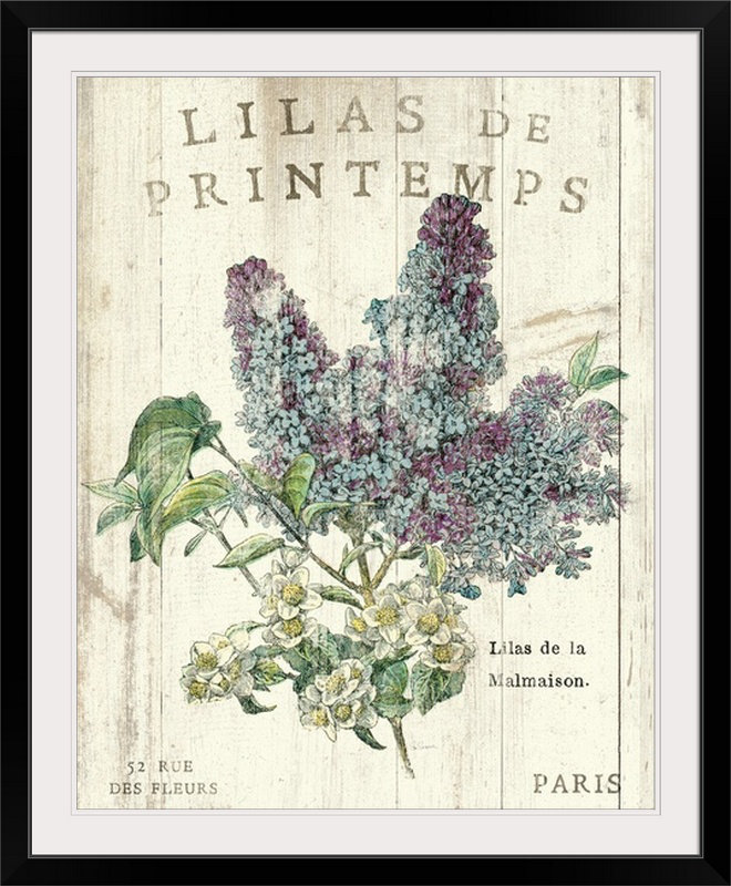 « lilas de printemps » par sue schlabach, impression, Cadre noir, H 44 po x l 37 po x p 1 po