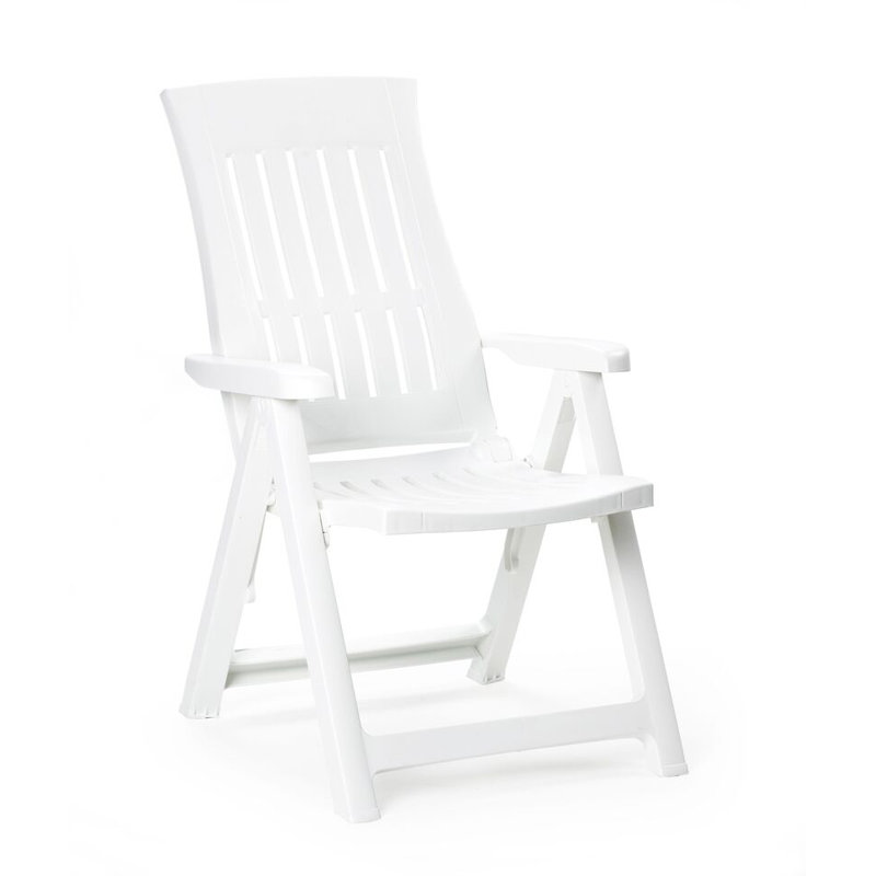 Chadha Plastic Patio Folding Chair Folding Chair, White