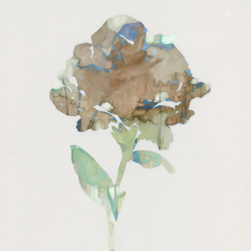 Modern Bloom II by Stellar Design Studio - Wrapped Canvas Painting, 30cm H x 30cm W