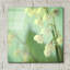 "Le muguet" par Judy Stalus-1864666217