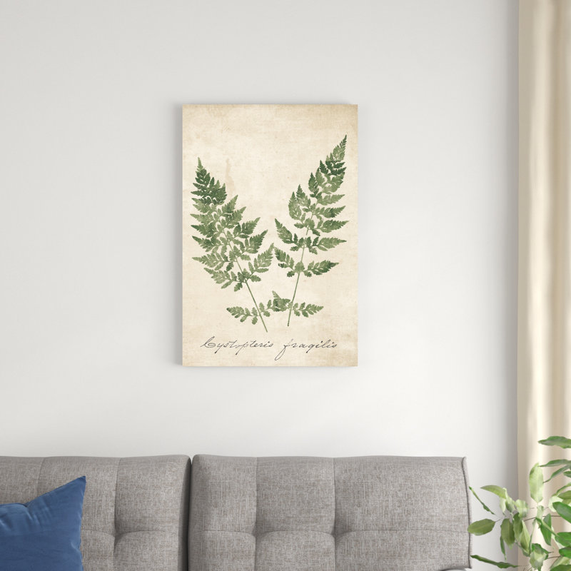 Fougères rétro sans bordure, H 30 po x l 20 po x P 1,25 po