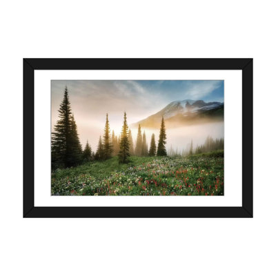 " Rainier Wildflowerws " by Dennis Frates