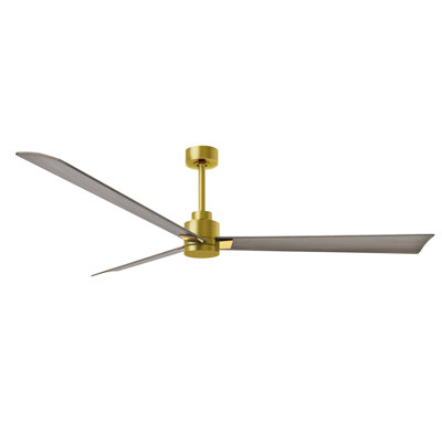 Alessandra Outdoor Downrod Ceiling Fan