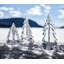 Vermont Evergreen-46309281