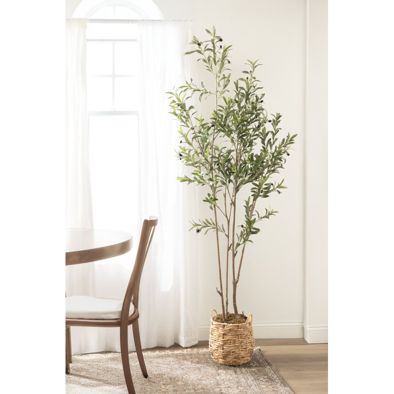 Oliveira Oliveira avec panier tissé Livia, 60 po x 24 po, Naturel, Pot à fleurs Livia