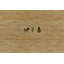 Tapis oriental Lori Gabbeh-1202603307