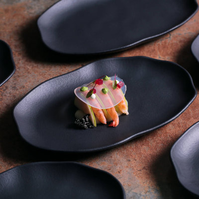 Commercial Dishwasher Safe 11.81'' Stoneware Appetizer Plate , Set of 4