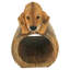 Statue de gouttière Golden Retriever