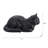 Resting Black Tabby Cat-126248605
