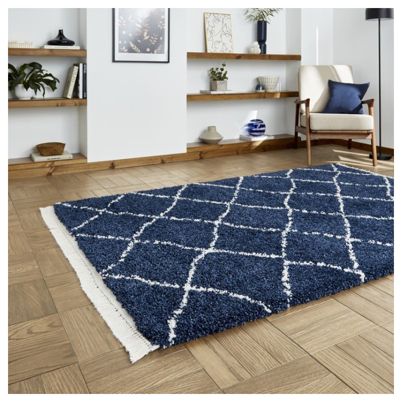 Pechler area rug Machine Woven Navy, Rectangle 120 x 170cm