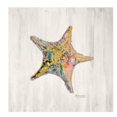 Starfish Print by JP Kilkenny