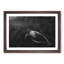Sea Turtle - Picture Frame Painting Print-56705582-56705585