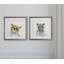 « jolie critter fox », ensemble de 2 reproductions encadrées-27611462