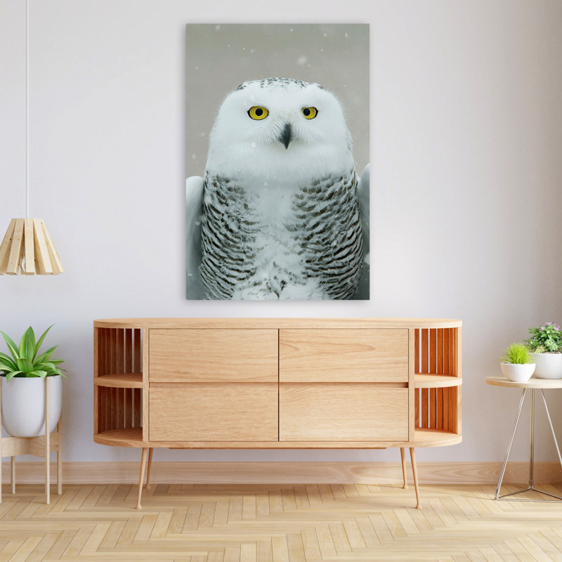 Snowy Owl Eyes - photographie animaux, chouettes, art, H 48 po x l 32 po