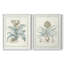 Willow Blue Besler III - reproduction encadrée de qualité supérieure - prête à être accrochée - aucun clou requis - aucun clou requis-572726517-572726511
