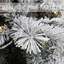 Lighted Artificial Spruce Christmas Tree-1570661094