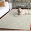 Tapis vert clair / ivoire en laine touffeté à la main Steve-1537401729