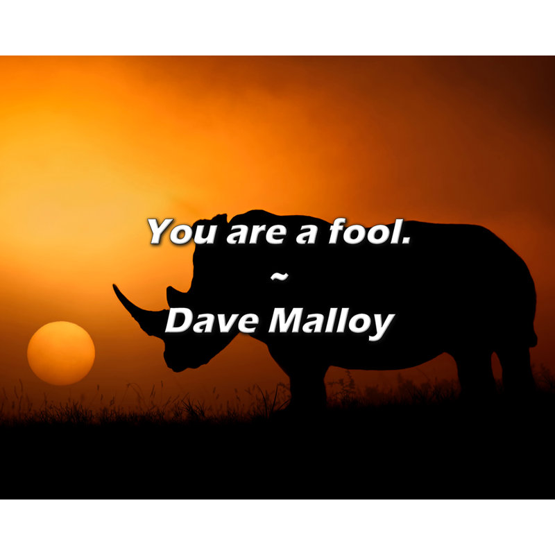 Citation de Dave Malloy: Vous êtes un imbécile.