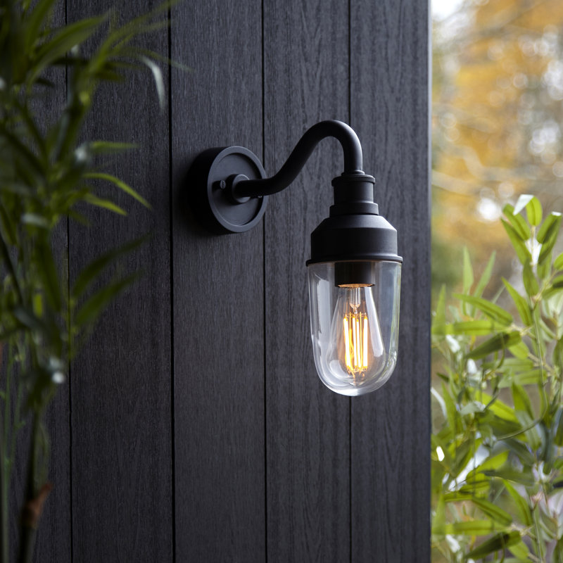 Kevelyn Brass Outdoor Barn Light, Black