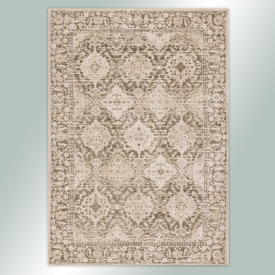 Traditional Taupe Olive Elegant Textured Classic Area Rug