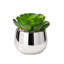 Mini succulente faux Echeveria dans un pot en céramique argent chromé-1610389803