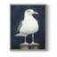 NAUTICAL Series CXLII - Impression encadrée de qualité supérieure - Prêt à être accroché - Aucun clou requis-180276170-180276172