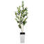 Faux Plant-216967047