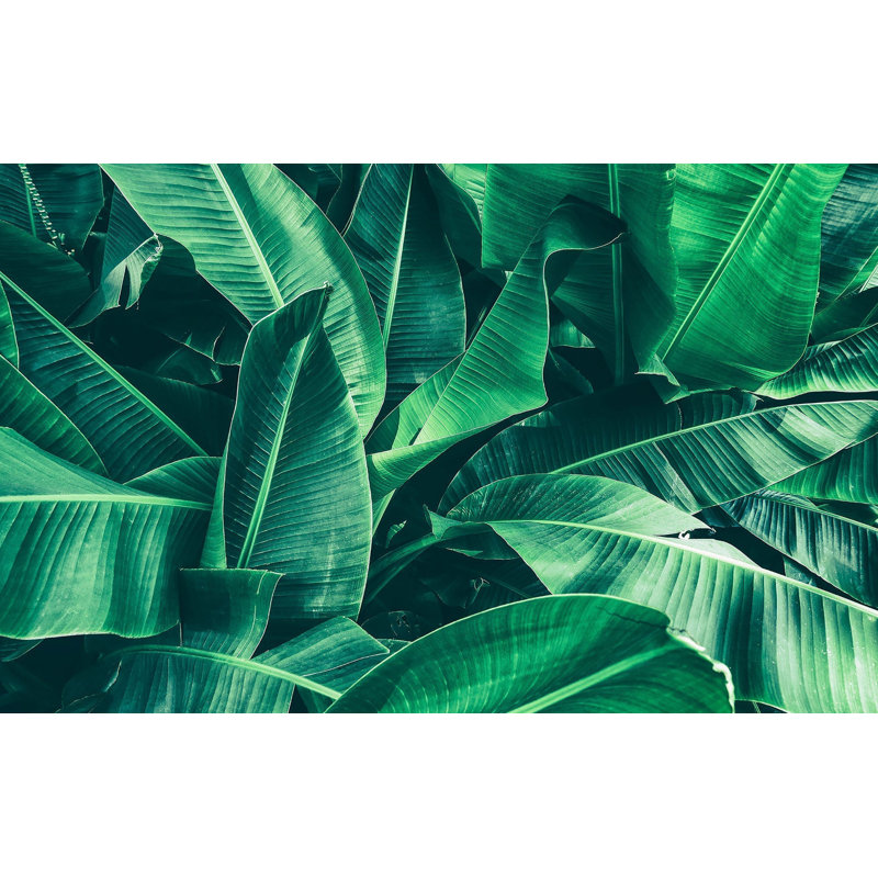 Murale pelez et collez de qualité supérieure - feuilles tropicales, L 60 po x L 40 po