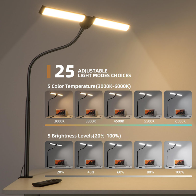 Black Adjustable Dual-Head LED Desk Lamp with Remote Control