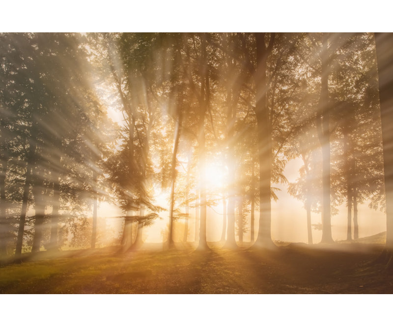 Wrapped Canvas Print, 50.8 cm H x 76.2 cm W