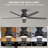 52'' Elvert Flush Mount Ceiling Fan with LED Lights Black-258302687