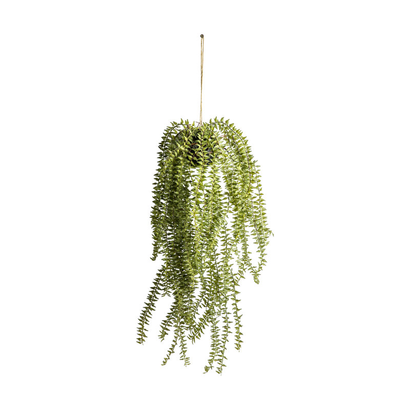 58cm Faux Cactus Succulent