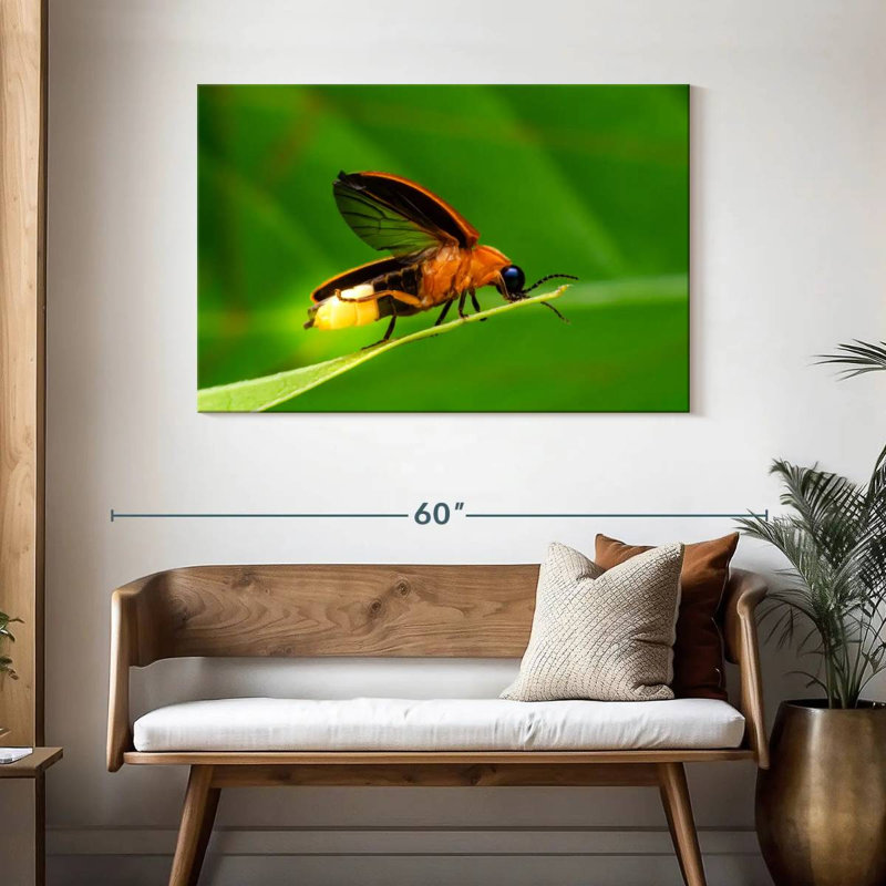 Brampt Firefly, 30" H x 45" W