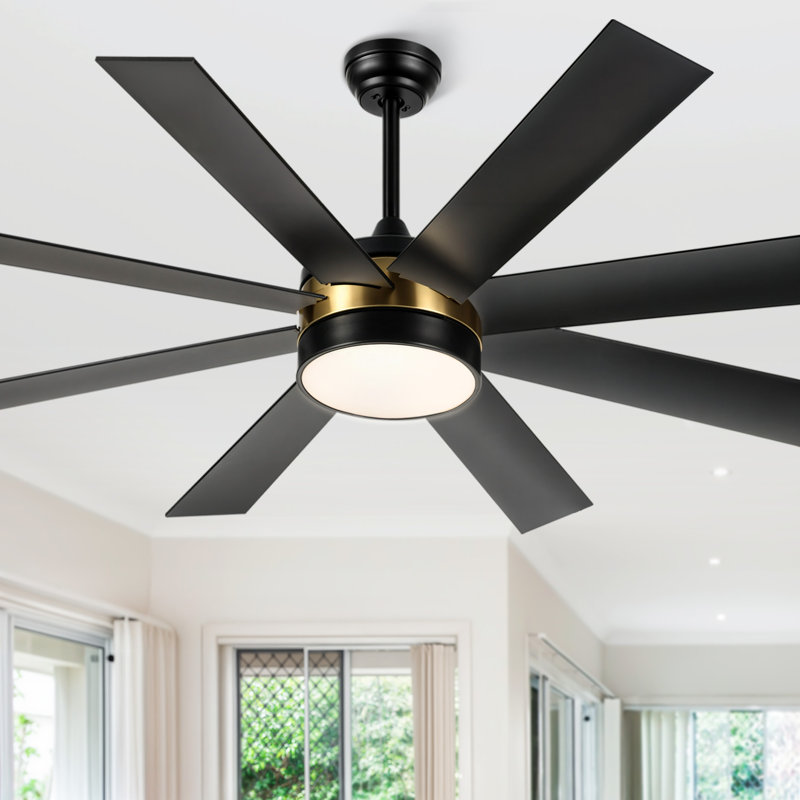 Maiju 60'' 8 Blades Smart Ceiling fan with light, Black/Gold, Black