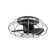 22'' Ceiling Fan with LED Lights