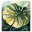 Murale botanique pelez et collez - Feuille de Monstara tropical-779469149
